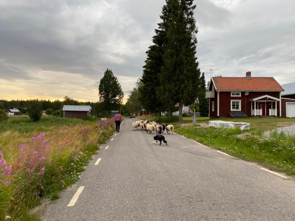 Newly Built Apartment Next Door To The Sheep Norrfjarden Exteriér fotografie
